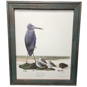 Ray Harm Little Blue Heron Lithograph PlateXX 1967 SignedInPrint Framed VTG Art